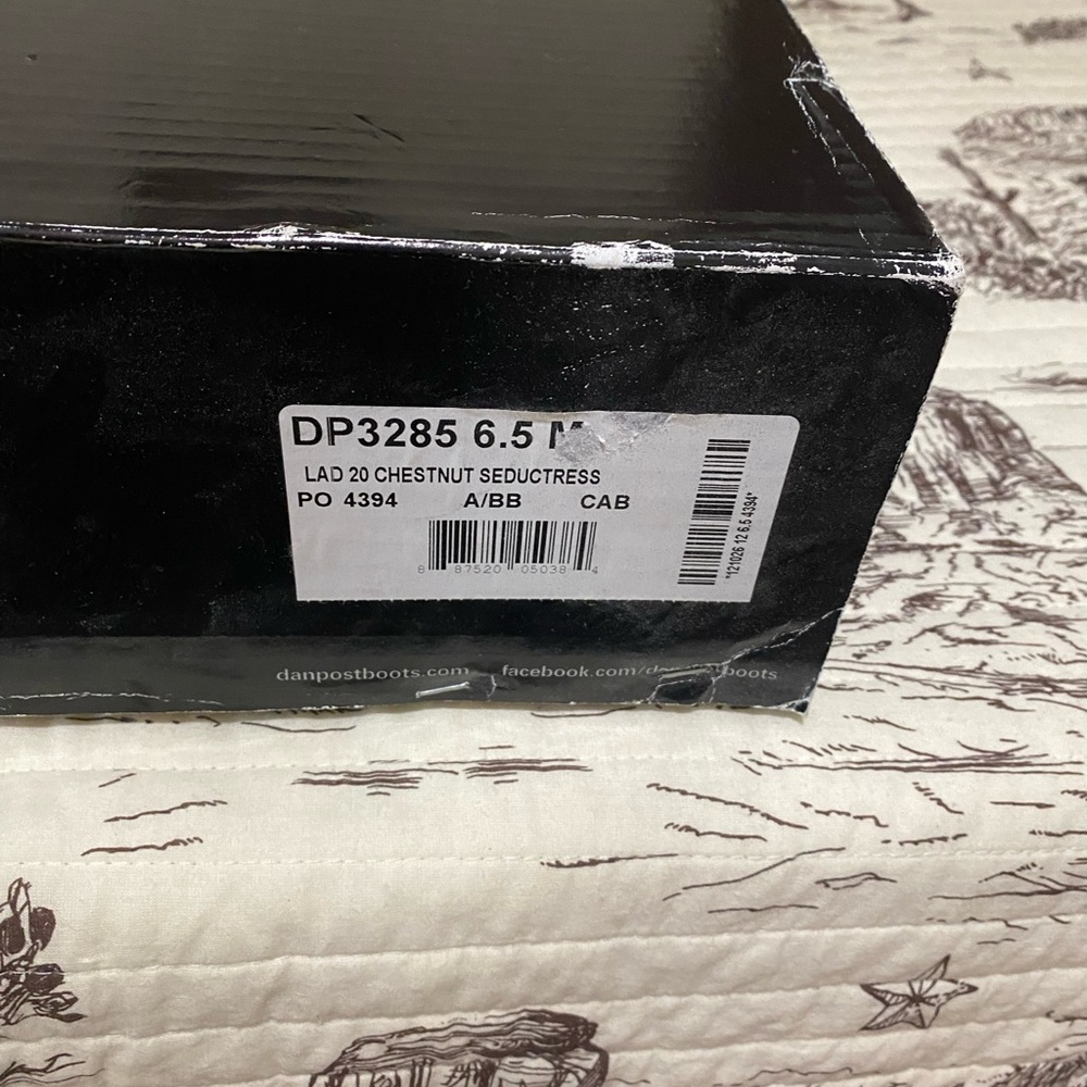 Dan Post Seductress Boots in Chestnut